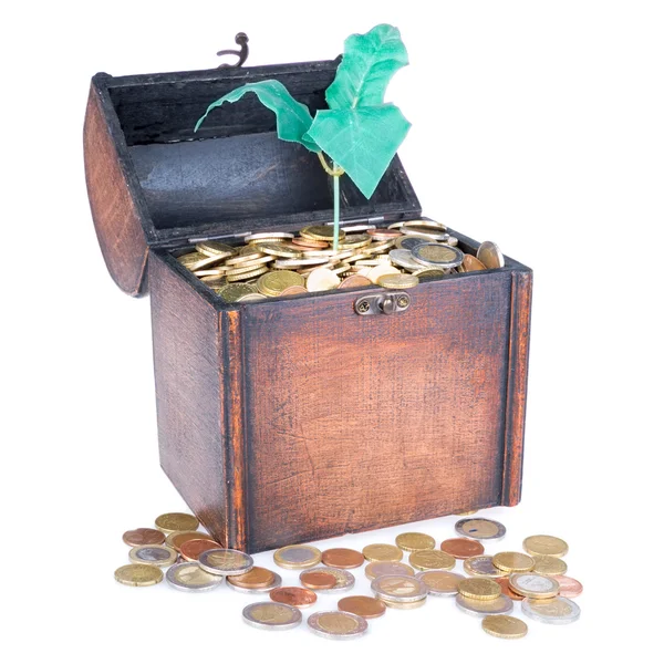 Caixa de dinheiro de madeira cheia de moedas e uma árvore de dinheiro — Fotografia de Stock