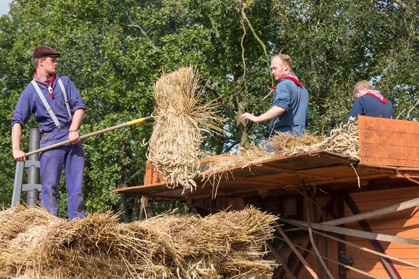 Agricultores cargando heno en un vagón de heno tradicional durante un festival agrícola holandés — Foto de Stock