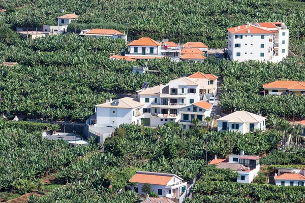 Vista aérea de casas y plantaciones de plátanos en la isla de Madeira, Portugal —  Fotos de Stock