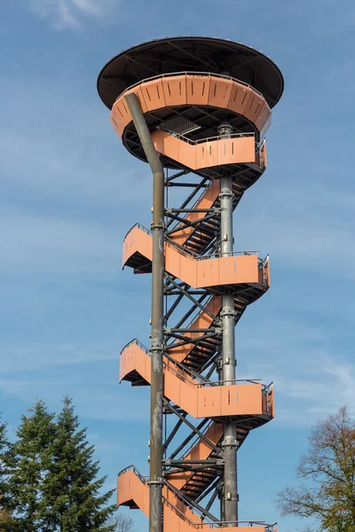 넌 스 피트, 네덜란드의 숲에서에서 시계 타워 — 스톡 사진