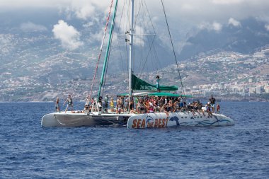 Turistler Madeira Adası, Portekiz balina için bir tekne turu yaparak