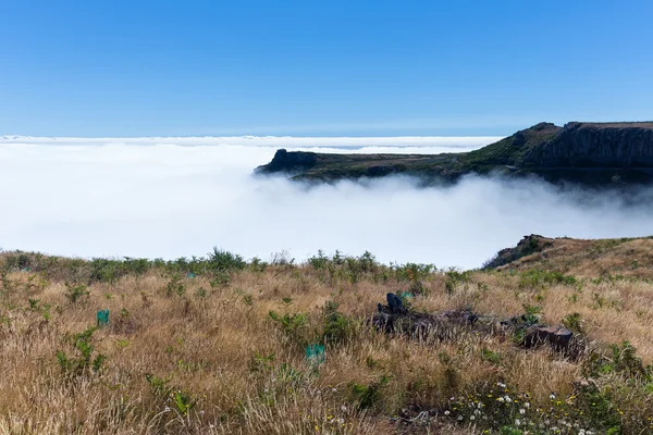 Letecký pohled na tvar horní části Madeiry se oblačnost nad oceánem — Stock fotografie