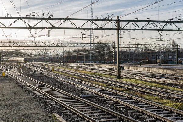 Vías férreas bajo el sol de la mañana en la estación holandesa de La Haya —  Fotos de Stock