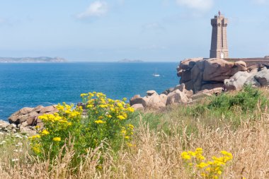 Deniz feneri kayalık Sahil güzel çiçeklenme ile Brittany sarı çiçek