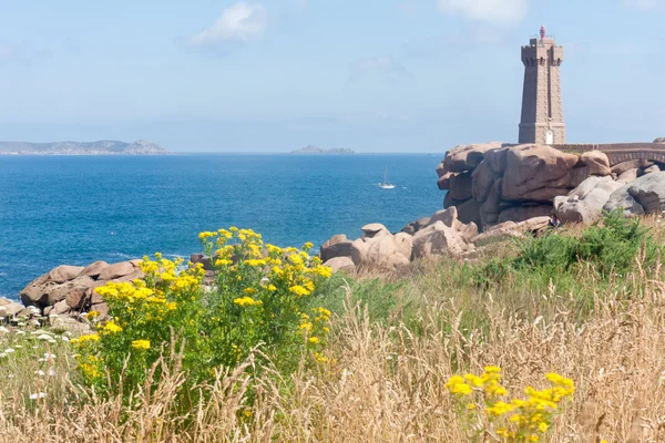 Faro en la costa rocosa de Bretaña con hermosa flor amarilla en flor —  Fotos de Stock
