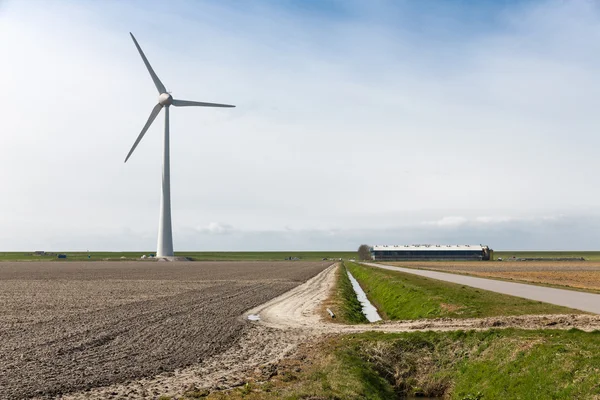 Tierras agrícolas con un aerogenerador del mayor parque eólico de los Países Bajos — Foto de Stock