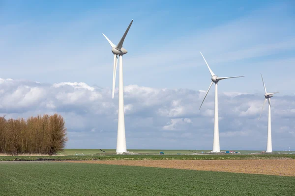 Farmland with wind turbines of the biggest windfarm in the Netherlands — Stock Photo, Image