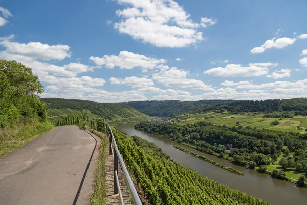 Köy yolunda ve Alman Nehri Moselle üzüm bağları — Stok fotoğraf