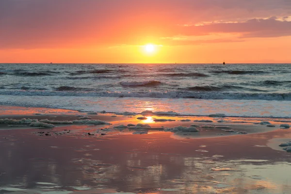 Море захід сонця на узбережжі Схевенінген в голландських — стокове фото