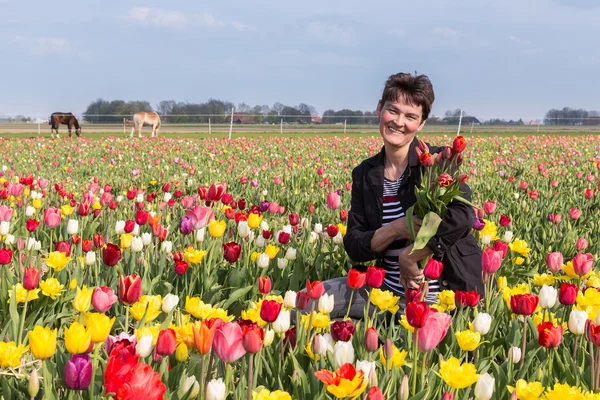 Счастливая женщина с кучей тюльпанов на цветном тюльпановом поле — стоковое фото