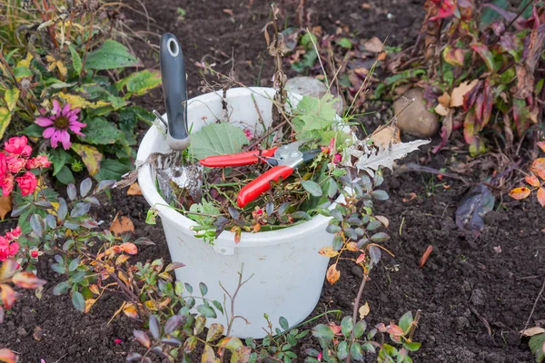 Hink med trädgårdsverktyg och trädgårdsavfall — Stockfoto