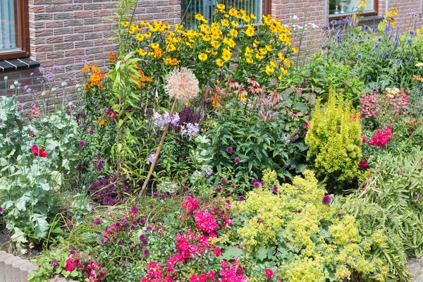 Casa ha cortile anteriore con diverse piante in fiore — Foto Stock