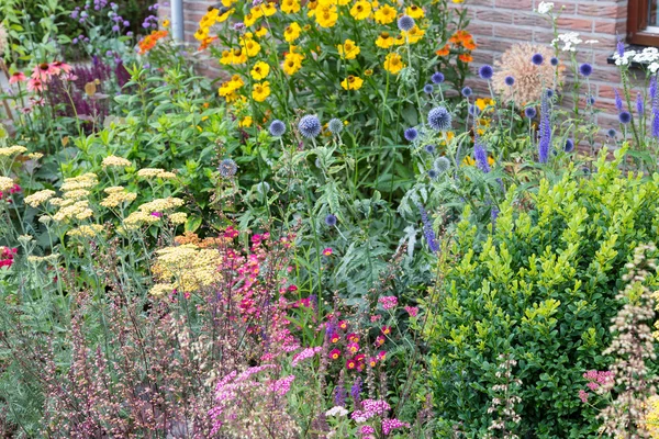 Casa ha cortile anteriore con diverse piante in fiore — Foto Stock