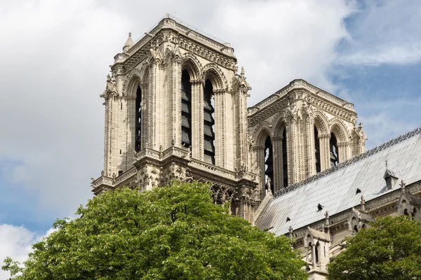 Věže katedrály Notre Dame v jarní, Paříž, Francie — Stock fotografie