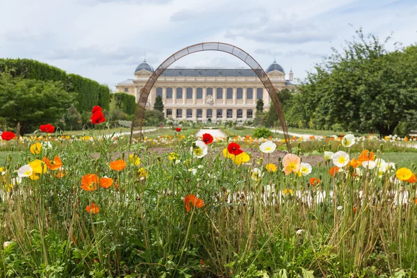 Parque de la ciudad Jardín des Plants con museo de historia natural en París — Foto de Stock