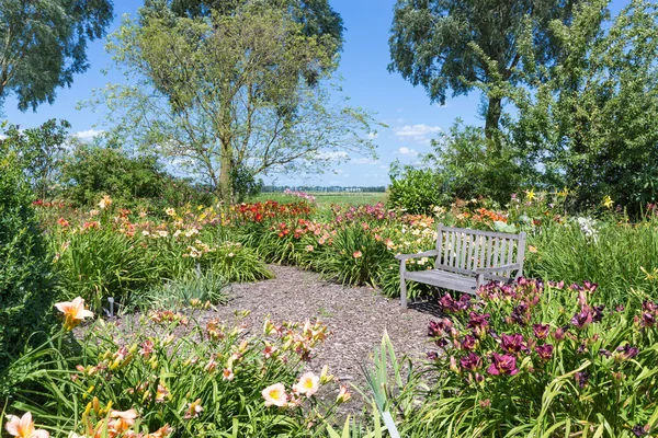 Jardin fleuri hollandais avec une retraite et un banc en bois — Photo