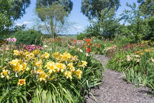 Jardin fleuri hollandais avec sentiers de randonnée — Photo