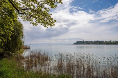 Mainau Adası 'na bakan sazlıklar ve ağaçlarla dolu kıyı şeridi ve sakin bahar manzarası.
