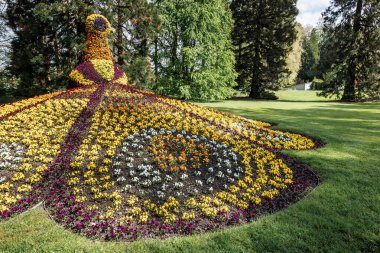 Mainau Adası, Almanya - 26 Nisan 2024: Constance Gölü 'ndeki Çiçek Adası Mainau' nun bahçesinde büyük bir çiçek heykeli.