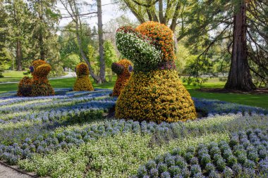 Mainau Adası, Almanya - 24 Nisan 2024: Constance Gölü 'ndeki manzaralı parkta geniş çiçek heykelleri ve mevsimlik çiçek yatakları.