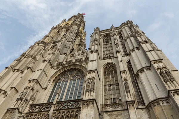 Katedra Marii Panny w Antwerpii, Belgia — Zdjęcie stockowe