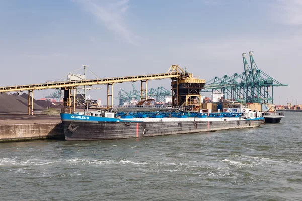 Port d'Anvers avec bargo amarré à un quai avec manutention du charbon — Photo