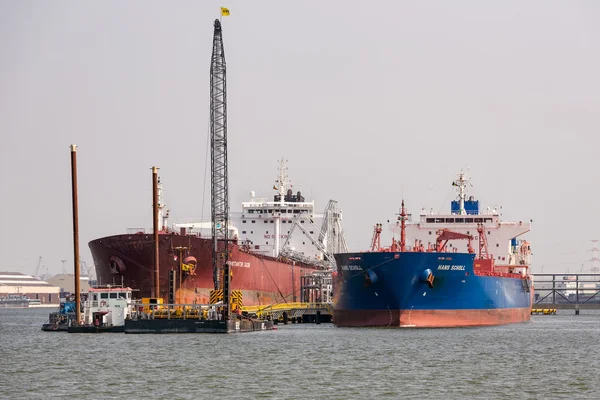 Haven van Antwerpen met aangemeerde grote vrachtschepen — Stockfoto
