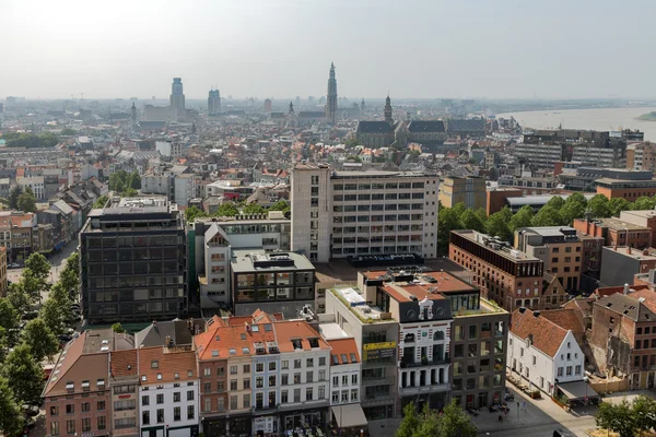 Flygfoto över Antwerp från museum Mas takterrass, Belgien — Stockfoto