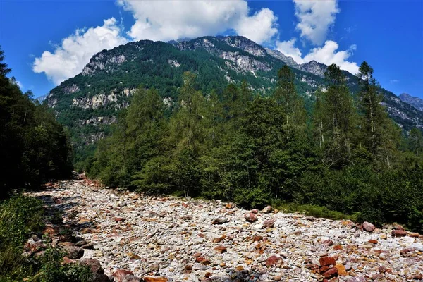 Pebble Floden Verzasca Och Vackra Schweiziska Landskapet — Stockfoto