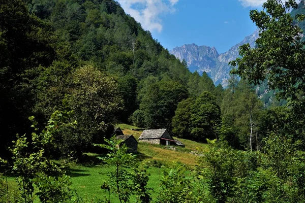 Tipikus Kőházak Verzasca Völgyében Ticino Svájc — Stock Fotó
