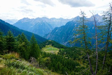 Alp Corte della Sassina 'dan Val Lavizzara, Ticino, İsviçre' deki Corte di Mognola Alplerine