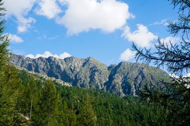 İsviçre, Fusio yakınlarındaki Pizzo Campo Tencia sıradağlarına yakın çekim.
