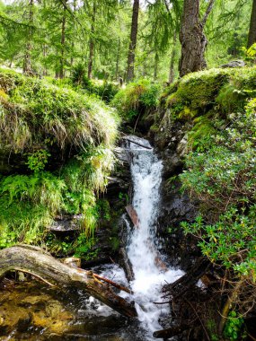Ri di Mognola nehri üzerindeki köprü, Ticino, İsviçre