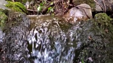 Fransa 'nın Alsace bölgesinde küçük bir şelalenin videosu