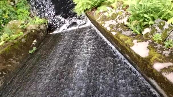 フランスのアルザス地方の小さな滝を流れる水のビデオ — ストック動画