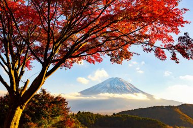 Fuji Dağı ve Sabah Sisi Sonbaharda Tacabocchi Highland, Nagano, Japonya 'da