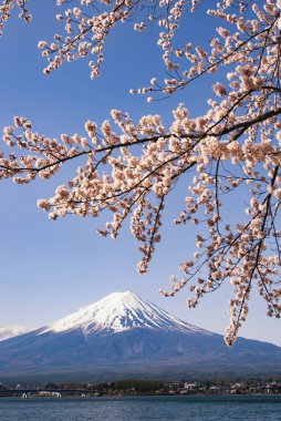 Kawaguchiko Gölü 'nde Mavi Gök ile Fuji Dağı ve Pembe Sakura Ağacı