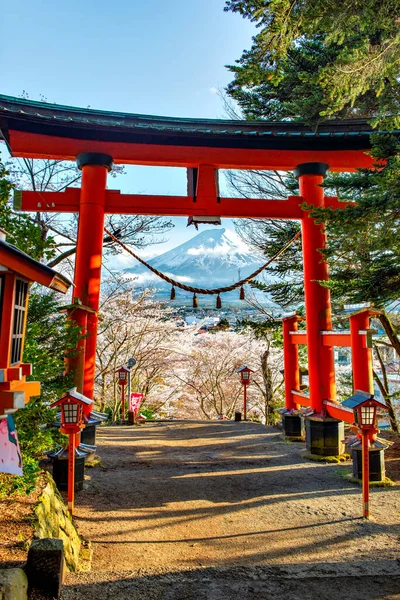 Porta Torii Rossa Con Monte Fuji Sfondo Sakura Primavera Pagoda — Foto Stock