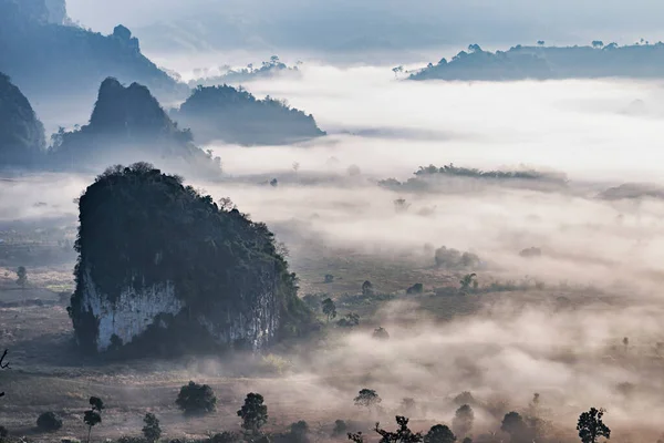 Paisaje Escénico Del Parque Nacional Phu Lang Con Niebla Matutina — Foto de Stock