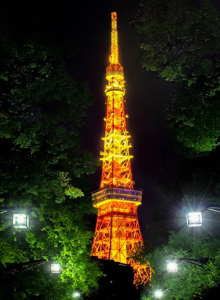 日本东京石坝公园东京塔楼夜间照明 — 图库照片