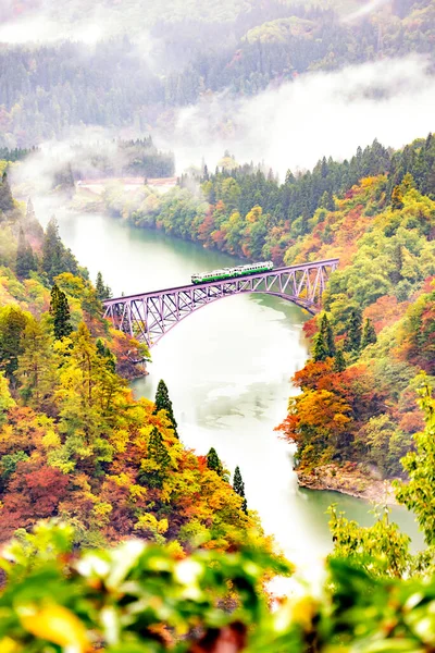 JR Tadami Line Train on the Bridge across Tadami River with Colorful maple tree in Autumn, Fukushima, Japan