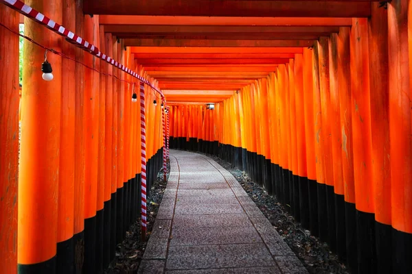 Porta Torii Rossa Santuario Fushimi Inari Kyoto Giappone — Foto Stock