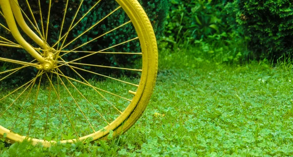 Fahrradrad auf grünem Gras — Stockfoto