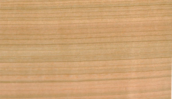 Holzteller — Stockfoto