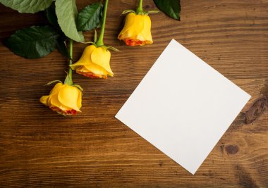 Gül boş kağıt arka plan ile rustik ahşap tahta üzerinde.