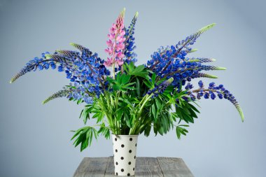 Makro güzel ve narin çiçekler buket gri arka plan stüdyo çekimde