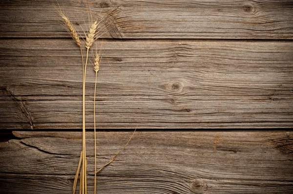 Wheat on wooden with copy space. — Stock Photo, Image