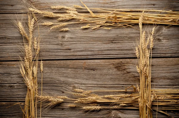 Quadro de trigo de madeira com espaço de cópia. — Fotografia de Stock