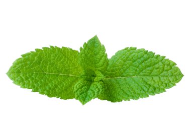 Taze nane, beyaza yakın.