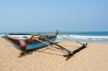 avuç içi ve tekneler Sri-Lanka ile tropikal plaj
